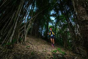 BIB: 
                            <button type="button" onclick="openModal(19395331)" class="btn btn-primary btn-sm float-right btn-popup" data-toggle="modal" data-target=".modal-high-quality">
                        <i class="fas fa-shopping-cart"></i> Add to Cart
                    </button>
                                            <button type="button" onclick="isThisMe(19395331, true)" class="btn btn-success btn-sm float-right btn-popup btn-isme hidden" data-toggle="tooltip" data-placement="bottom" title="นี่คือรูปของคุณใช่ไหม คลิกที่นี่เพื่อเอาเข้าอัลบั้ม">
                        <i class="fas fa-plus"></i> Add to album
                    </button>
                    <button type="button" onclick="isThisMe(19395331, false)" class="btn btn-warning btn-sm float-right btn-popup btn-isnotme hidden">
                        <i class="fas fa-ban"></i> Remove from album
                    </button>